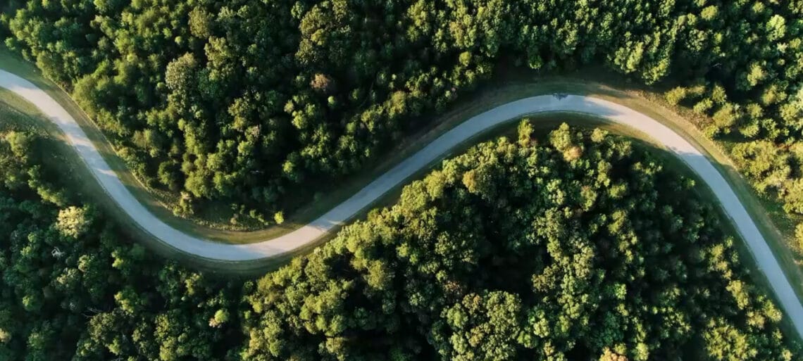 Aerial road cutting through trees