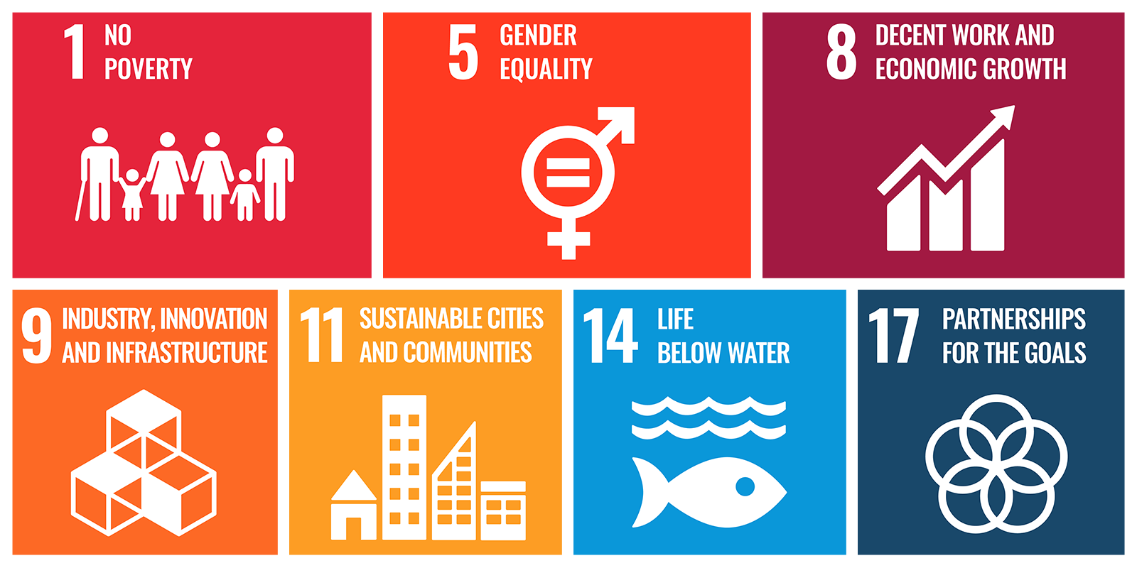 United Nations Sustainable Development Goals
